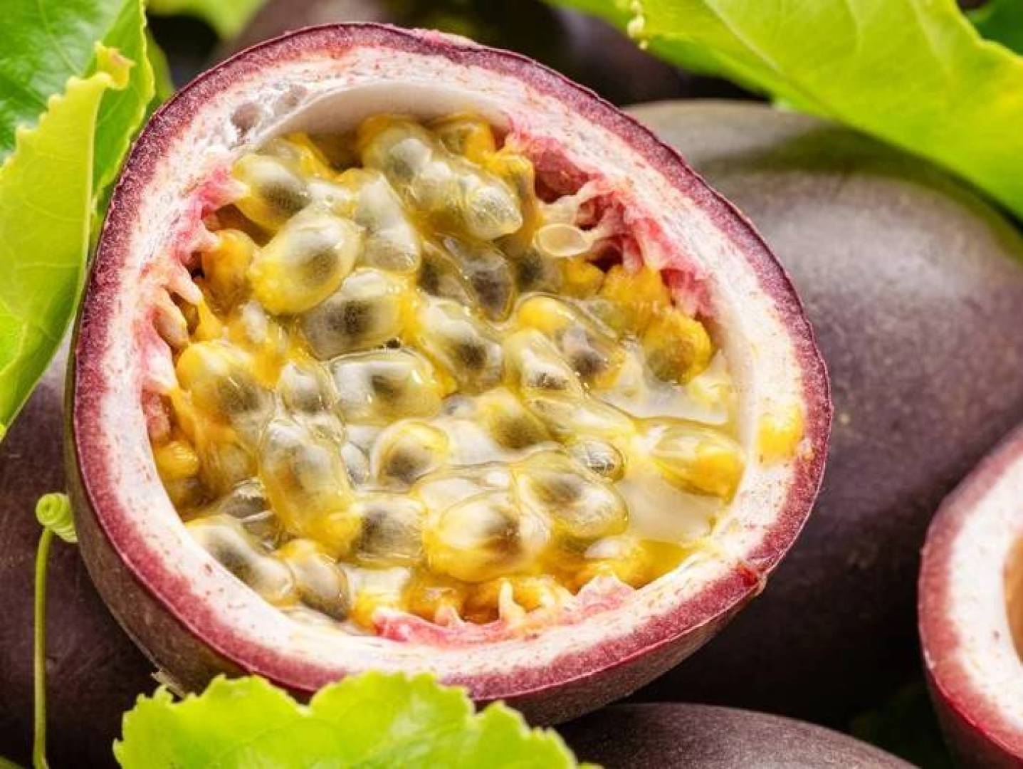 مستخلص بذور الماراكويا يحمي العين من فقدان البصر المرتبط بالعمر مستخلص بذور الماراكويا يحمي العين من فقدان البصر المرتبط بالعمر