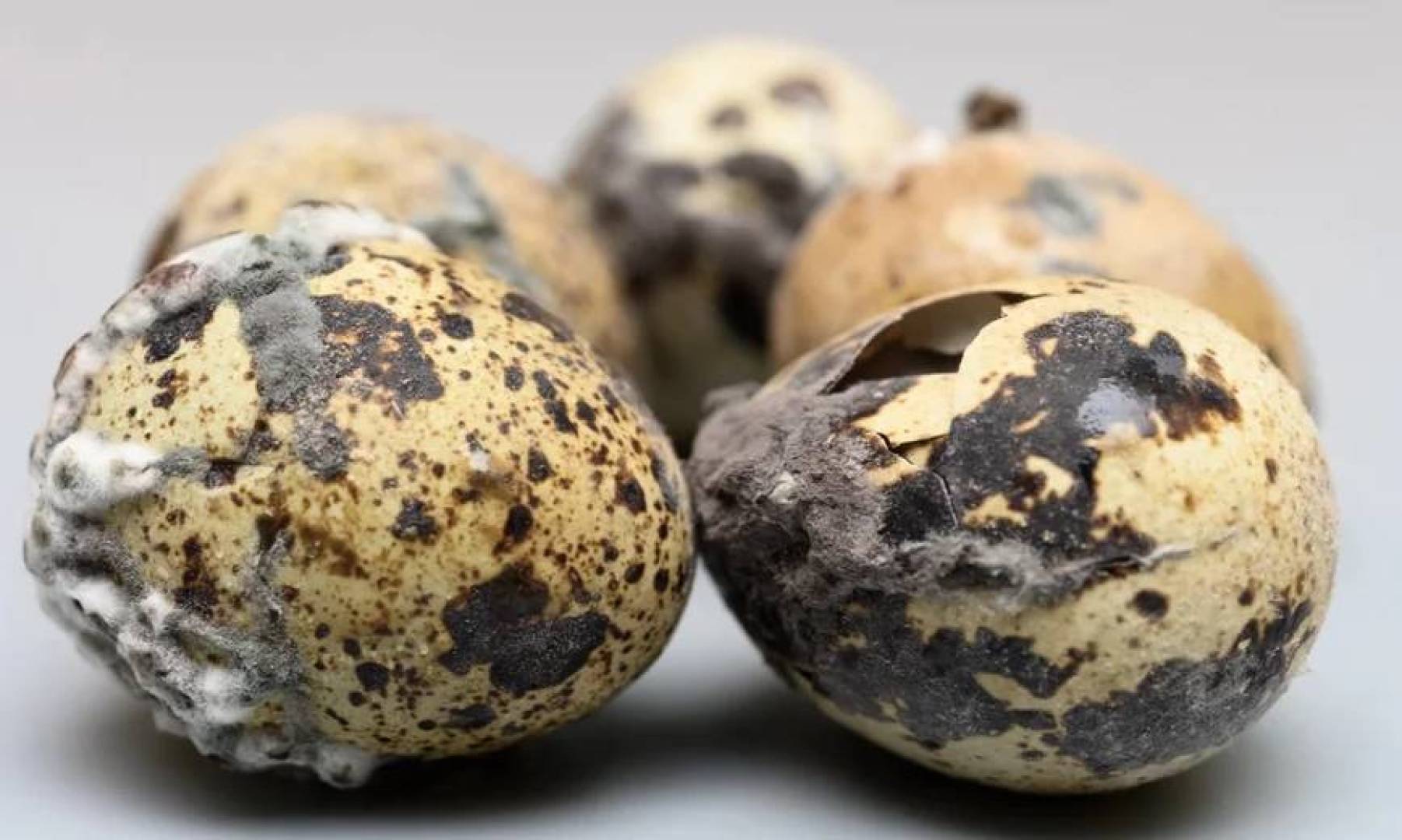 علاج فعال غير متوقع لفطريات الأظافر