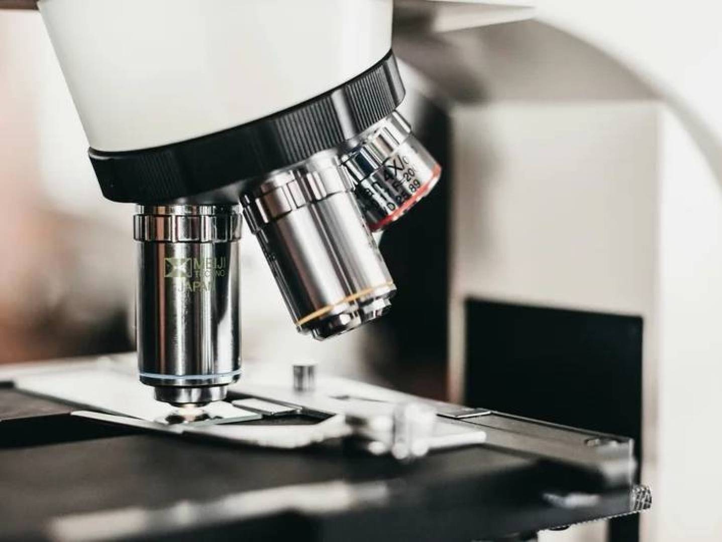 الكشف عن كيفية تنتقل الخلايا من حالة صحية إلى مرضية