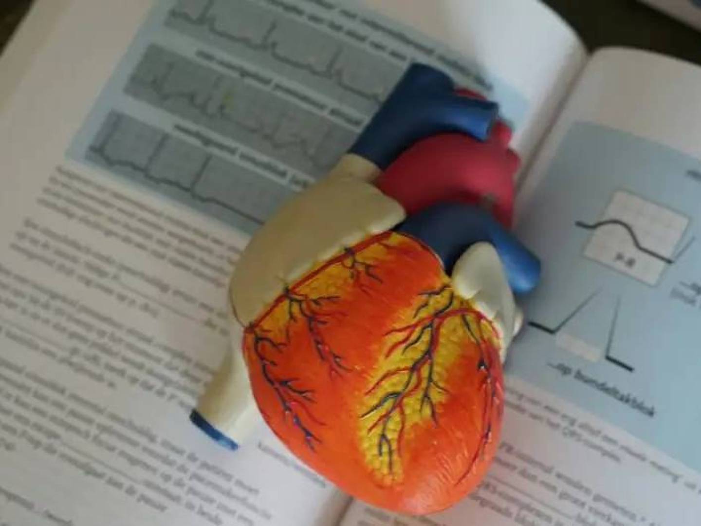 دواء مبتكر يفتح باب الأمل لتجديد أنسجة القلب