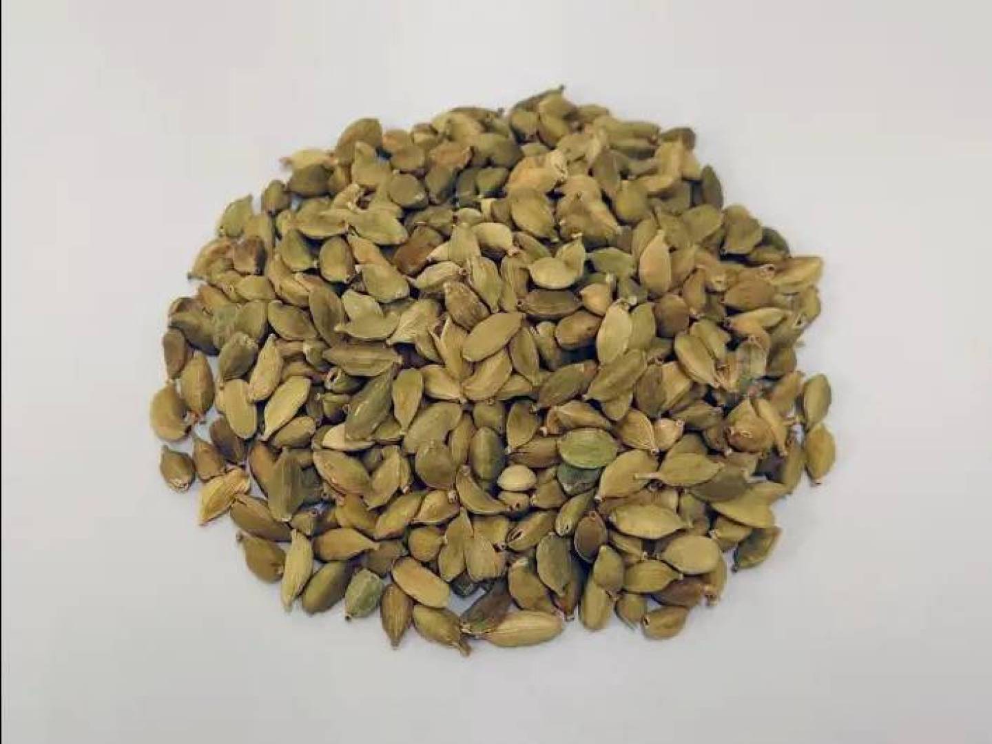 فوائد مستخلص بذور الهيل فوائد مستخلص بذور الهيل