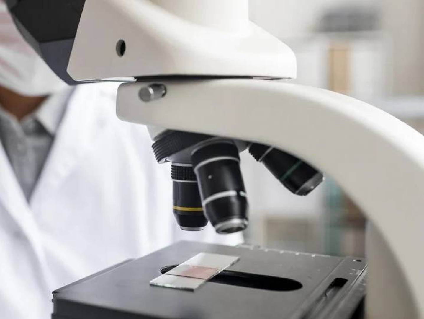 تطوير كبد مصغر قادر على التجدد الذاتي ويحاكي الكبد البشري