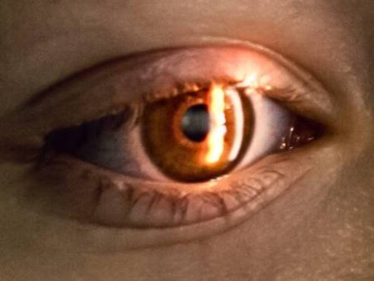 العين تكشف مخاطر أمراض القلب وسرعة الشيخوخة البيولوجية