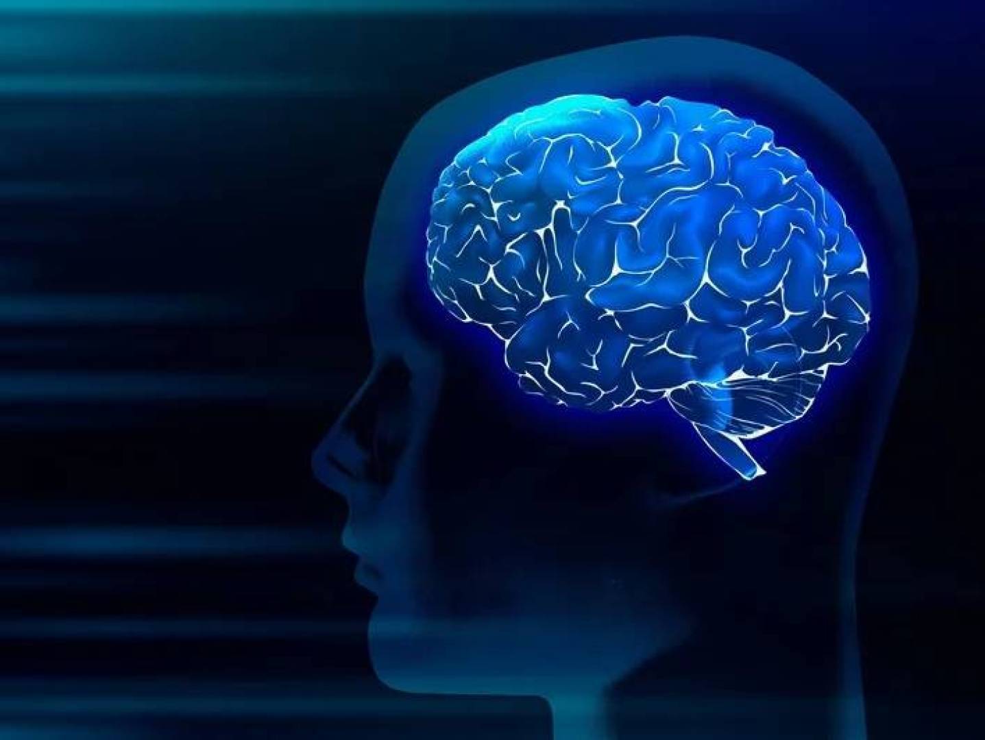 آلية تحكم دماغ الإنسان في التوازن الداخلي للجسم والتنبأ باحتياجاته