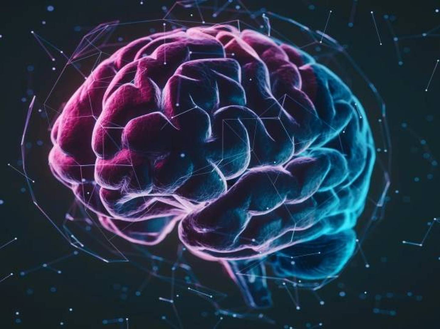 الدماغ يستمر في العمل بانسجام حتى بعد تمزق شبه كامل بين نصفيه الدماغ يستمر في العمل بانسجام حتى بعد تمزق شبه كامل بين نصفيه