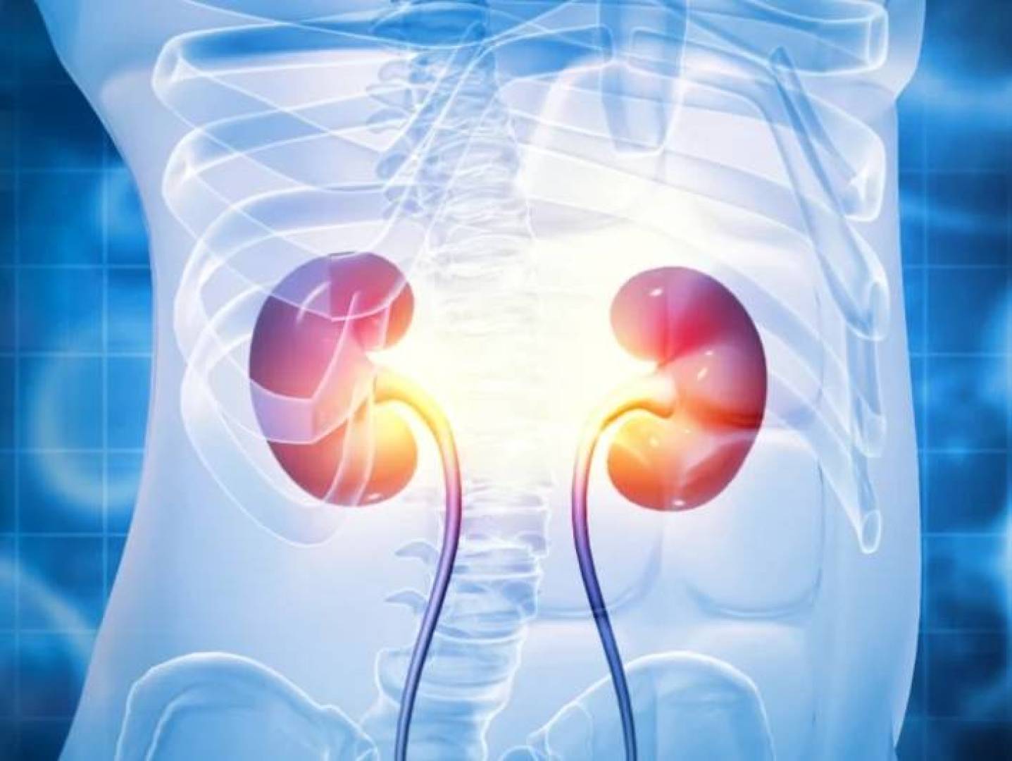 ثورة طبية: أول كلية قابلة للزراعة لأي فصيلة دم