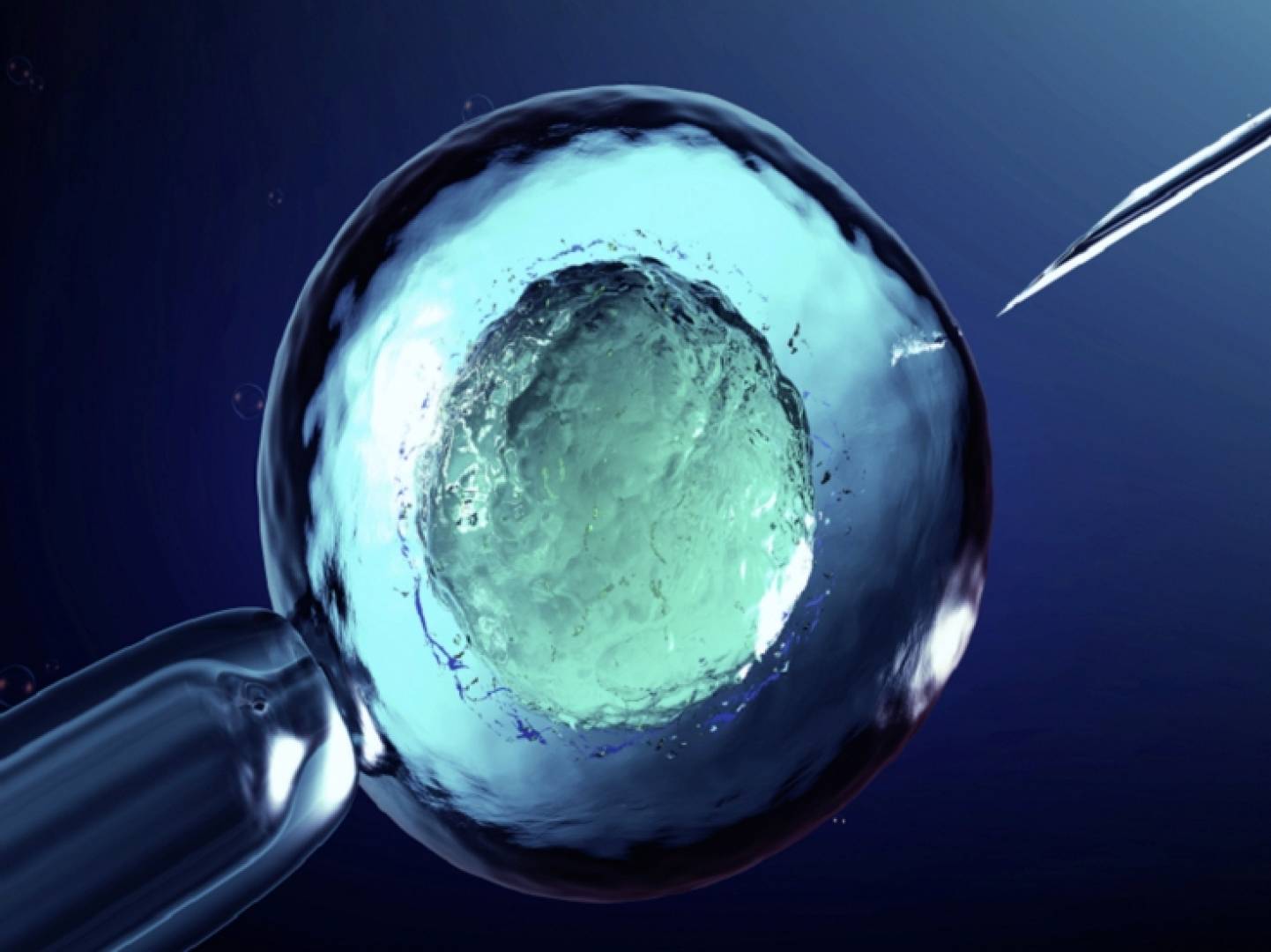 ظاهرة الولادة العذرية لدى الحيوانات.. جدل علمي وأخلاقي