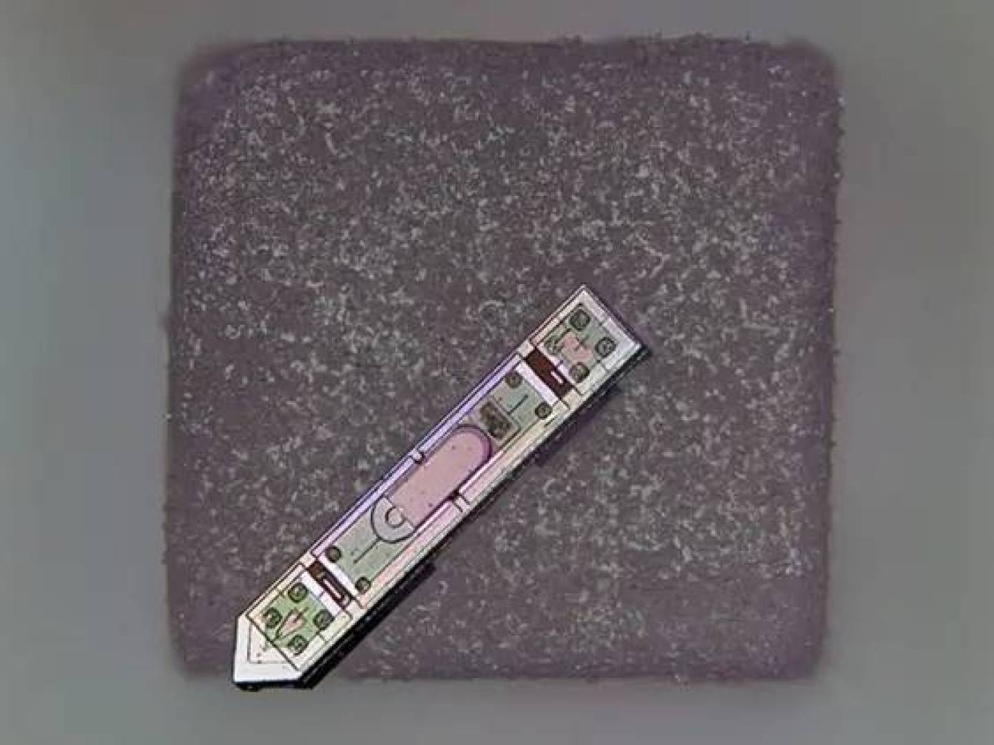 ابتكار شريحة عصبية يحدث ثورة في مراقبة الدماغ