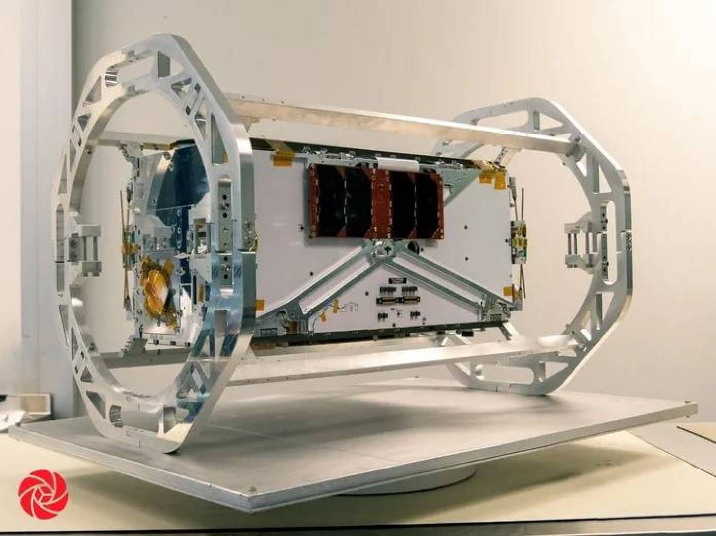 مشروع Icarus يعود إلى الفضاء لمراقبة الحياة البرية