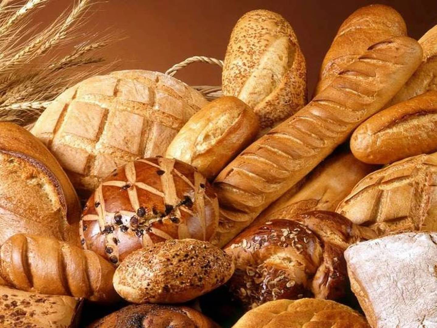 خبز الخميرة لا يضر بالصحة ولا يسبب السمنة خبز الخميرة لا يضر بالصحة ولا يسبب السمنة