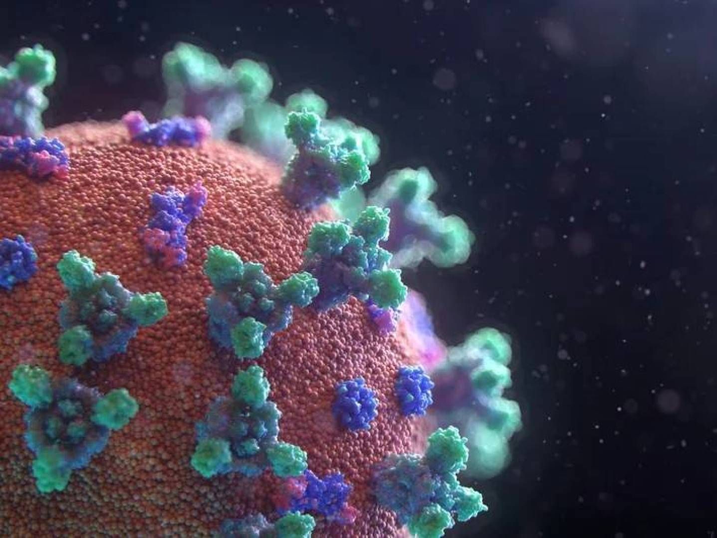 اكتشاف آلية خلوية قديمة لتدمير الخلايا المصابة بالفيروسات