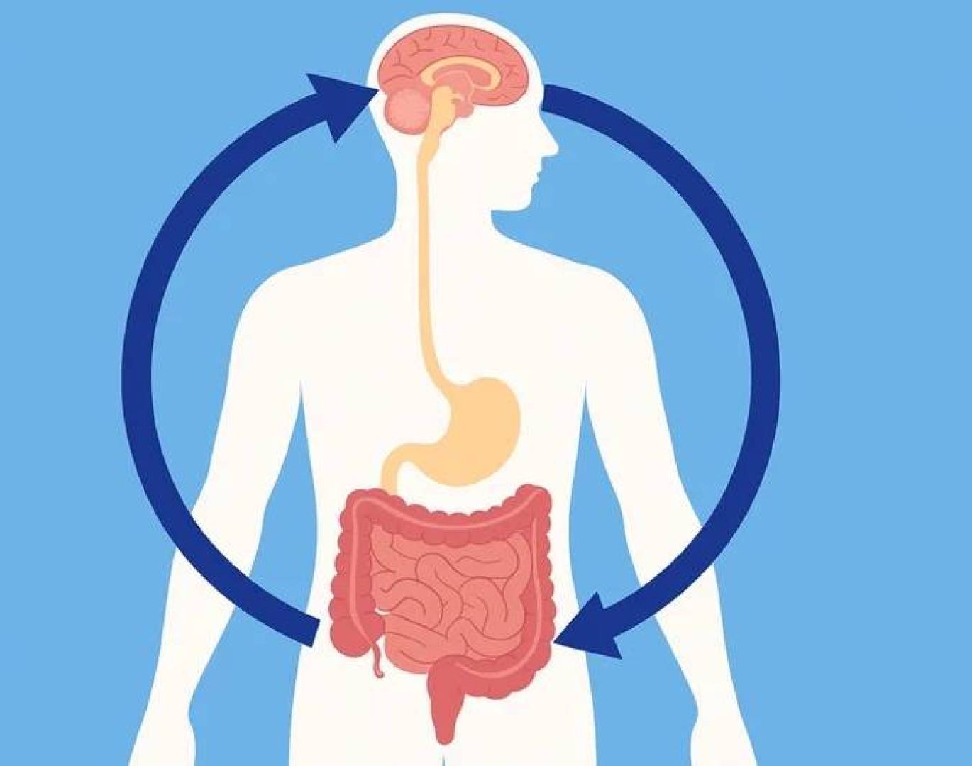 العلاج النفسي أكثر فعالية في علاج متلازمة القولون العصبي العلاج النفسي أكثر فعالية في علاج متلازمة القولون العصبي