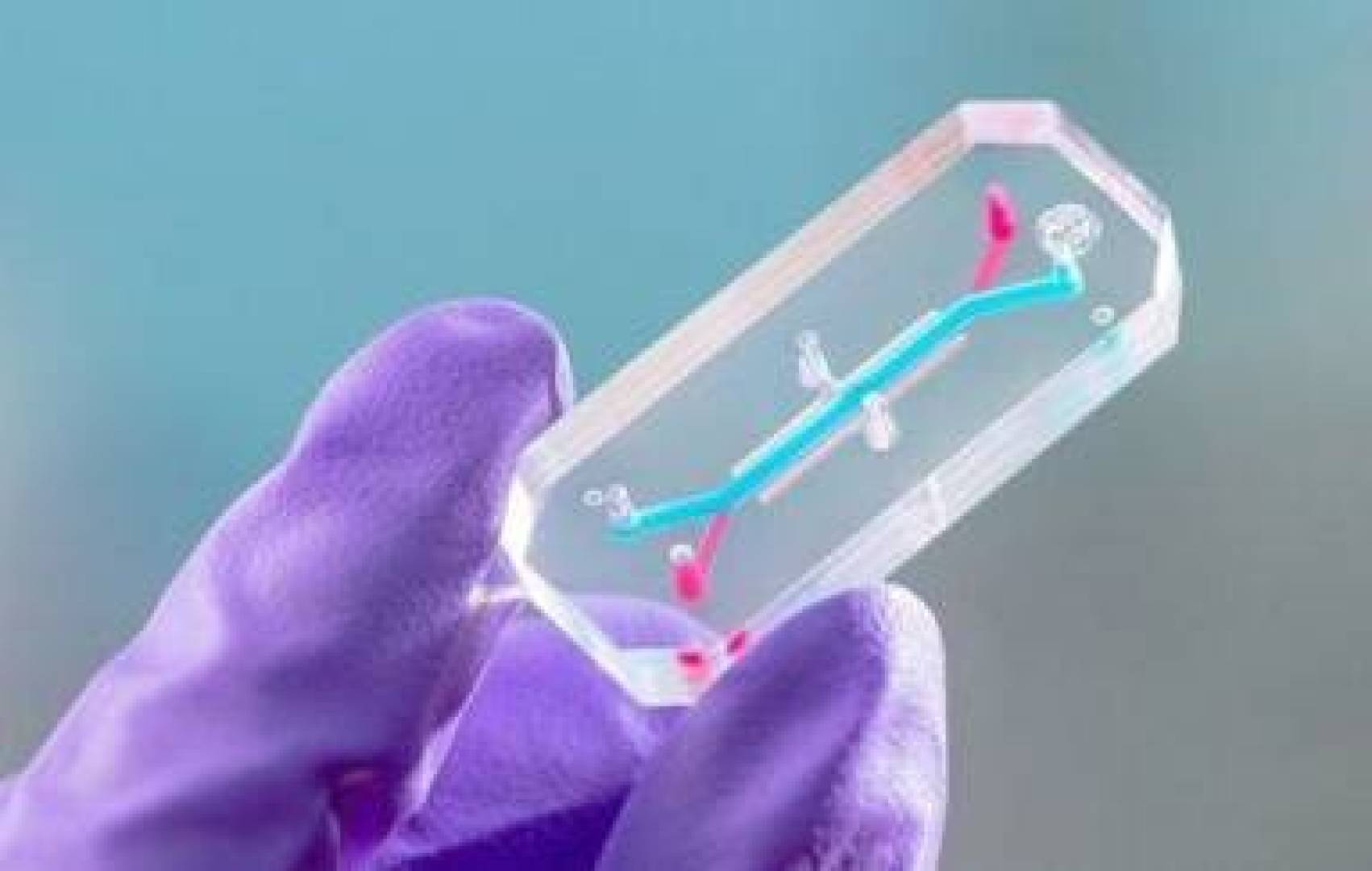 ناسا تطلق مشروع لإنشاء رواد فضاء مصغرون على رقائق ذكية ناسا تطلق مشروع لإنشاء رواد فضاء مصغرون على رقائق ذكية