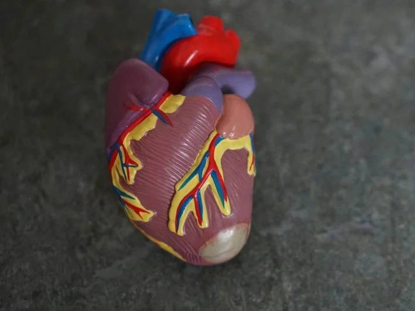 اكتشاف وراثي يربط السمنة بانخفاض خطر أمراض القلب