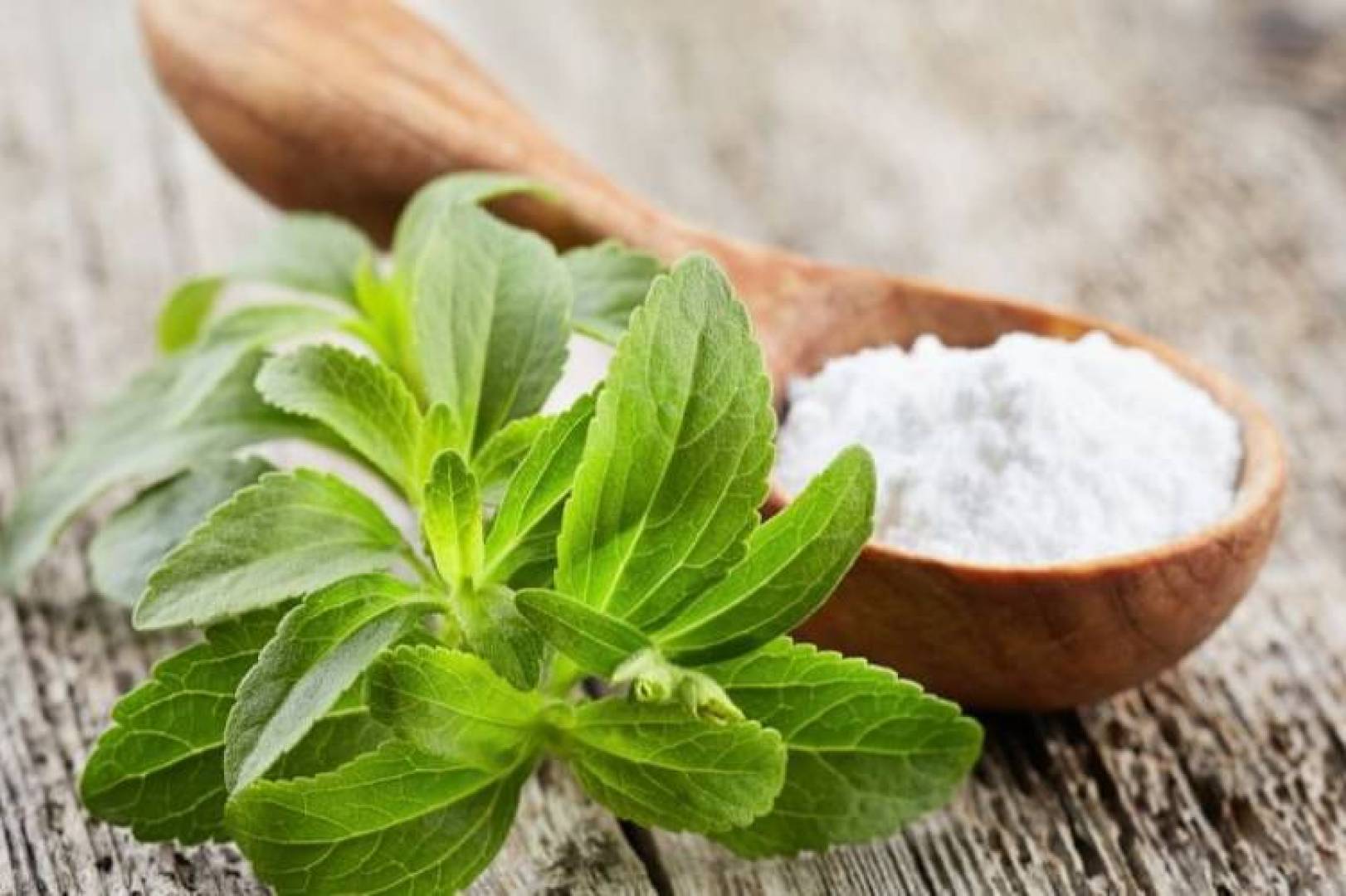 اكتشاف علمي يساعد في إنتاج محلي طبيعي خالٍ من المرارة