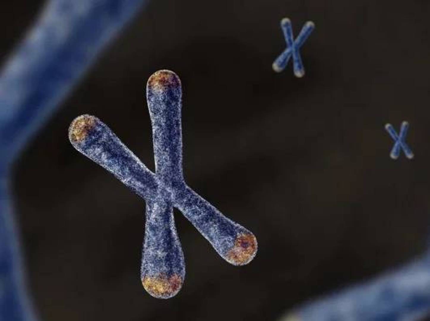 جينات الأب والأم تحدد مدى بطء أو سرعة شيخوخة الإنسان جينات الأب والأم تحدد مدى بطء أو سرعة شيخوخة الإنسان