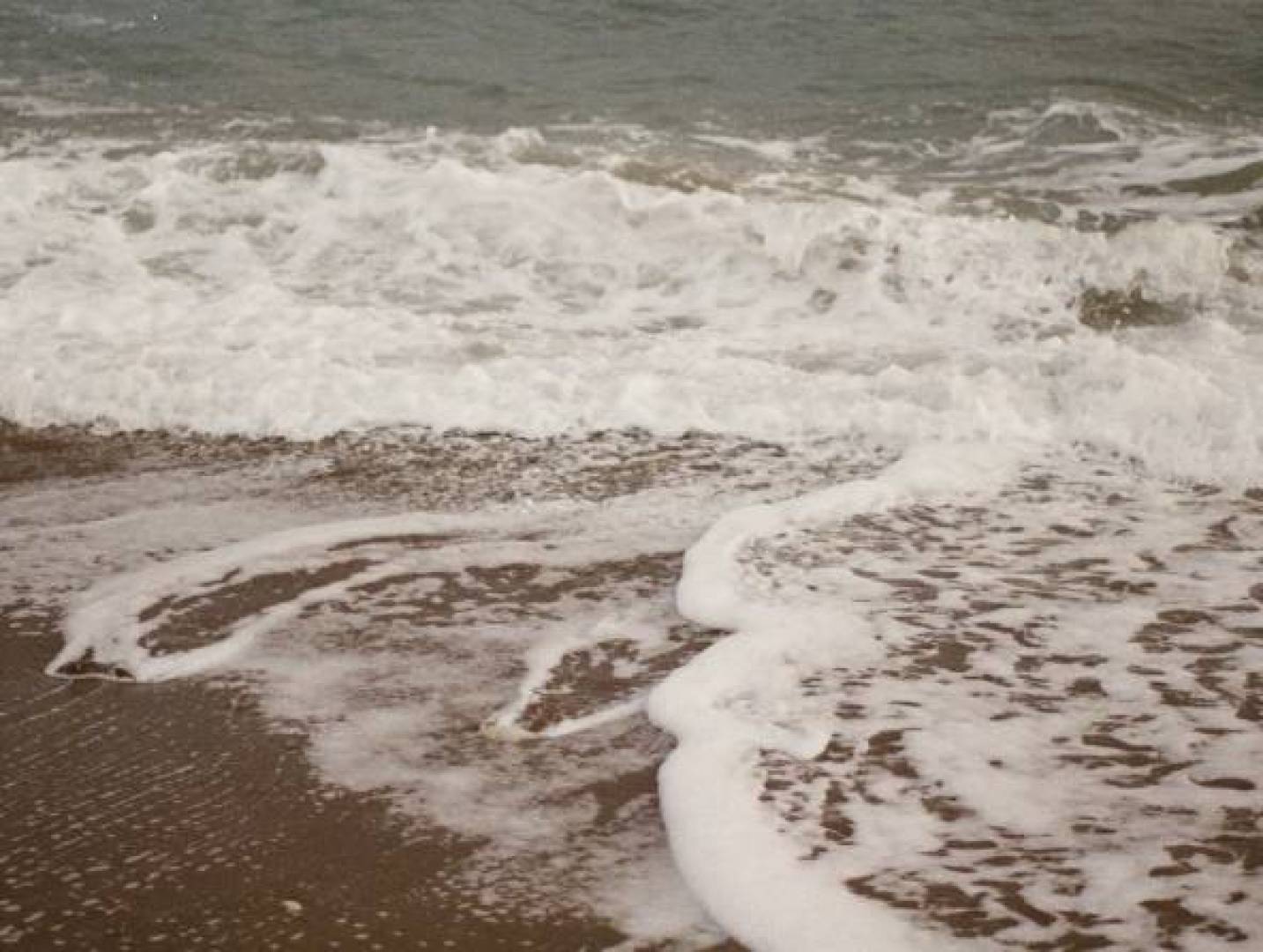 رغوة البحر تخفي مستويات خطيرة من المواد الكيميائية السامة