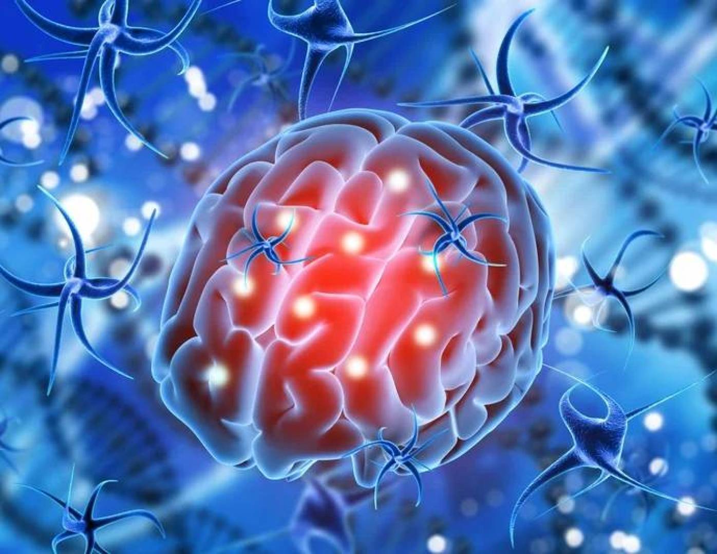 اكتشاف الجين المسؤول عن شراسة أورام الدماغ وانتشارها اكتشاف الجين المسؤول عن شراسة أورام الدماغ وانتشارها