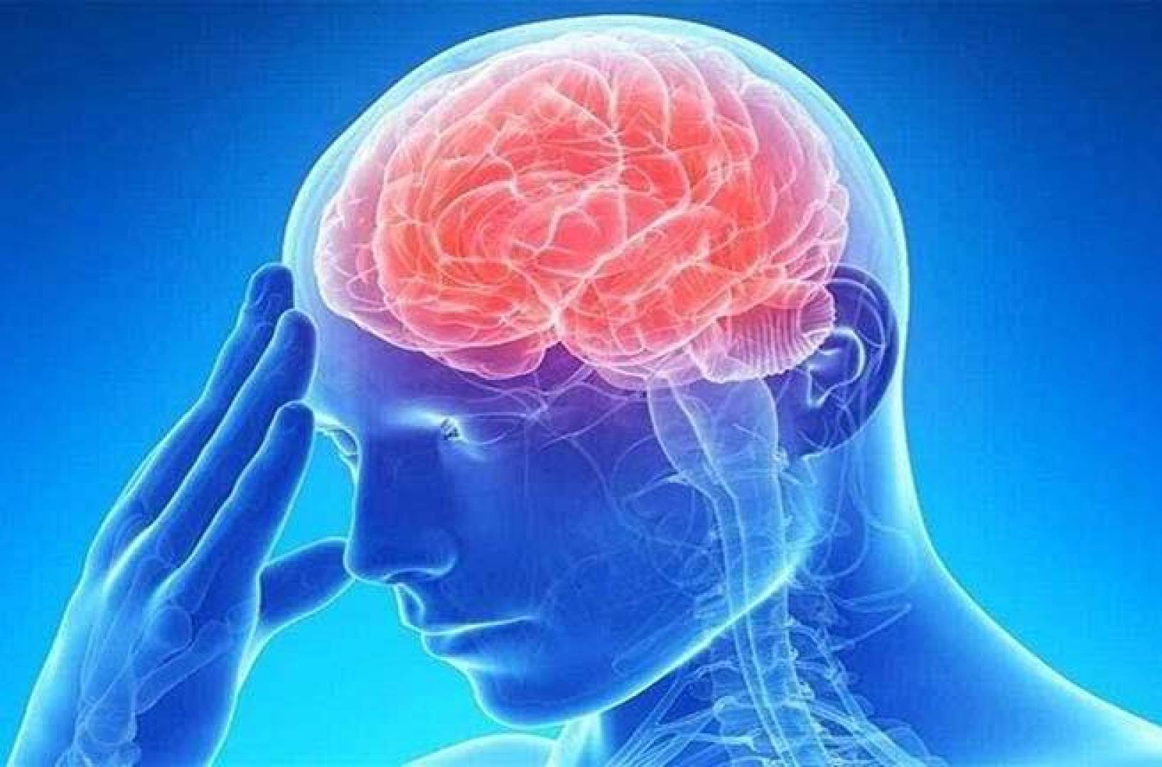 علماء يكتشفون كيف يتعامل الدماغ مع الخوف ويطفئ إنذاره الداخلي علماء يكتشفون كيف يتعامل الدماغ مع الخوف ويطفئ إنذاره الداخلي