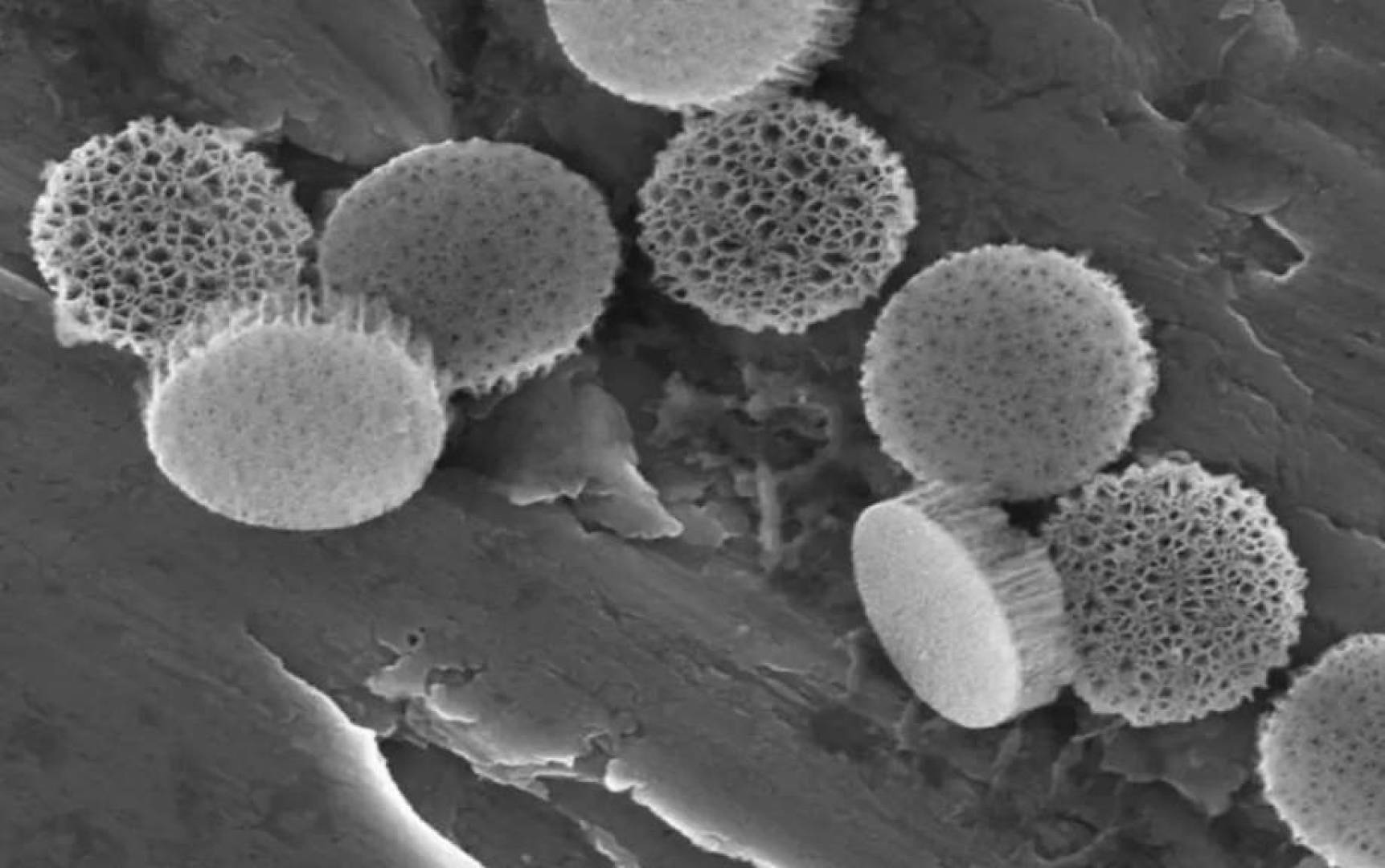 ابتكار ثوري تحويل الماء إلى كهرباء باستخدام مسام السيليكون