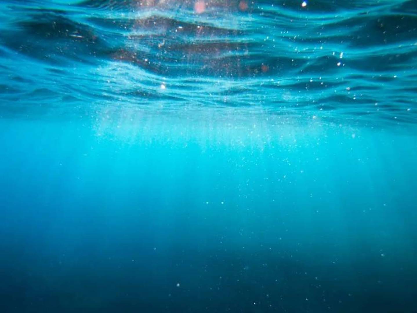 الصين تحول CO₂ البحري إلى بلاستيك أخضر قابل للتحلل لأول مرة في العالم الصين تحول CO₂ البحري إلى بلاستيك أخضر قابل للتحلل لأول مرة في العالم