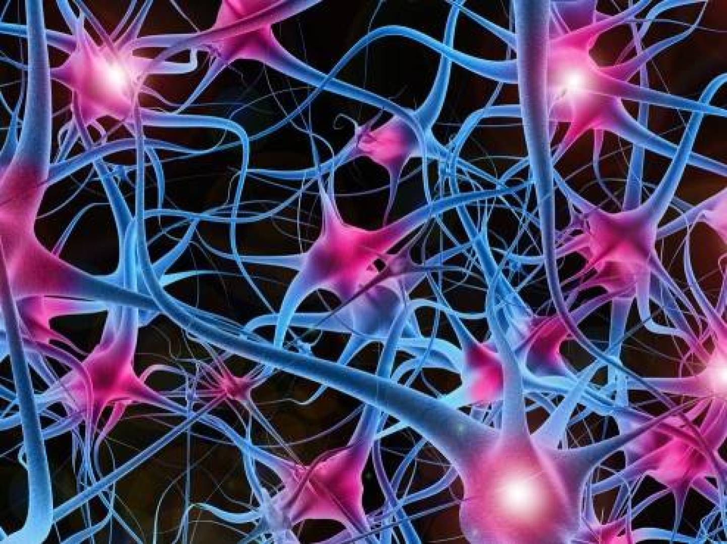 اكتشاف علمي جديد يكشف سرّ كيفية تشفير الدماغ للذكريات والحفاظ على استقراره