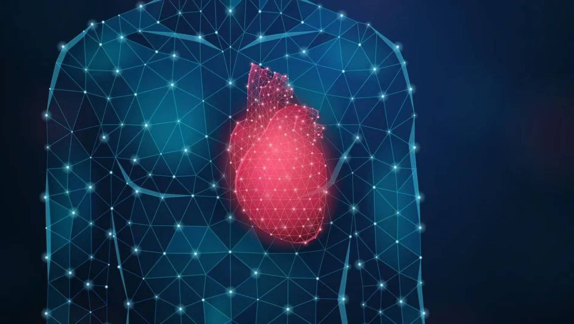 اكتشاف بروتين جديد يوقف تطور أمراض القلب