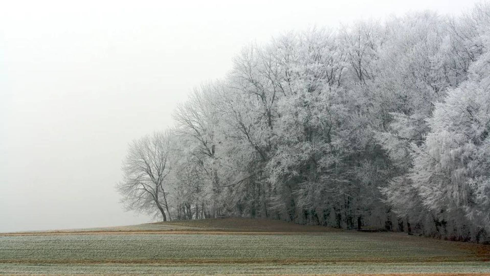 اختلافات فيزيائية بين الضباب الشتوي والضباب في الفصول الدافئة