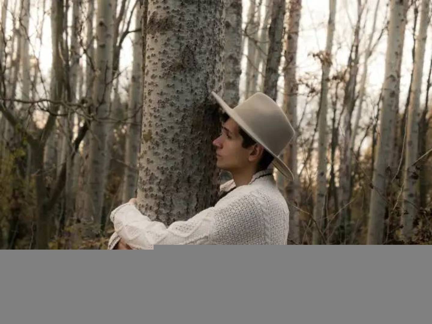 الكشف عن سبب معانقة الأشجار في الصين