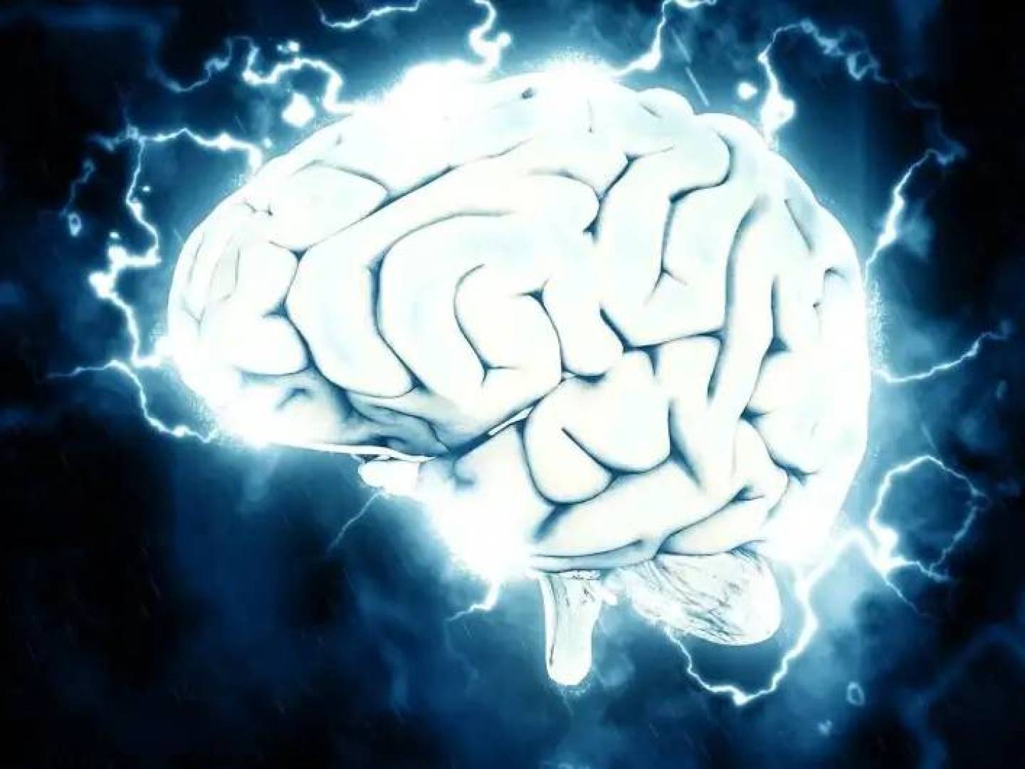 علم الأعصاب الحديث يكشف متى يكتمل نمو الدماغ البشري