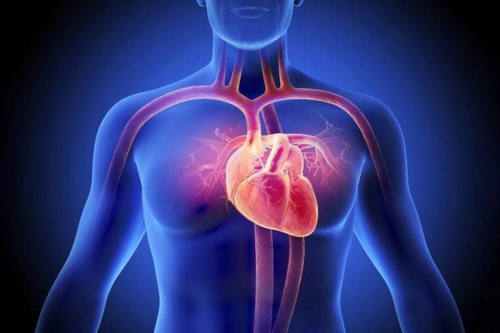 أدلة علمية جديدة لكيفية تأثير مرض السكري بشكل مباشر على قلب الإنسان