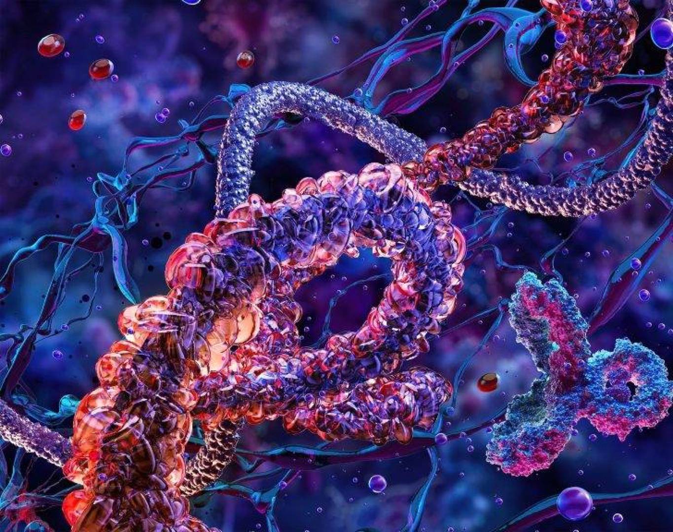 بروتينات أساسية عالقة في سباق تطوري لا ينتهي داخل الجينوم