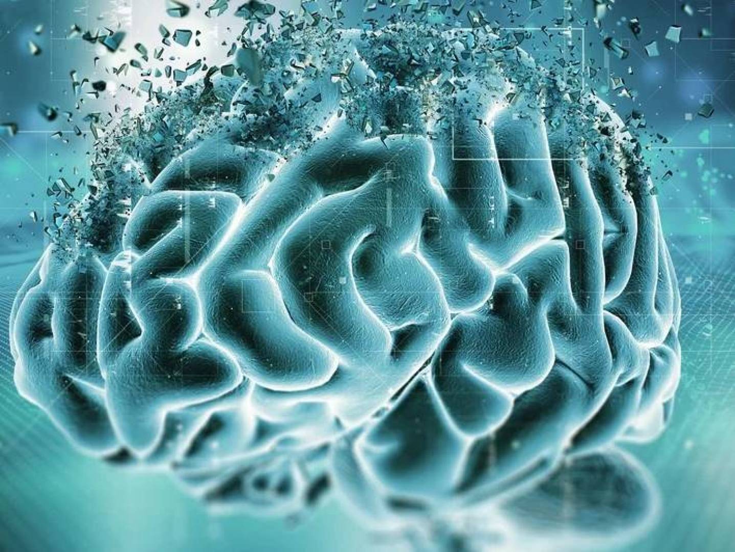 دراسة أمريكية تربط تلوث الهواء بتغيرات دماغية لدى المراهقين