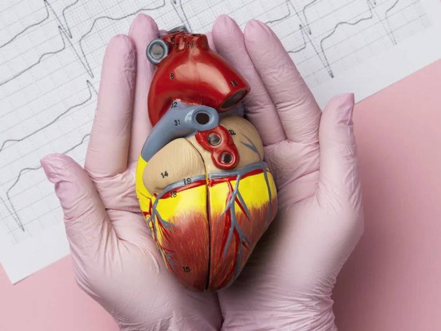 تقنية طبية مبتكرة تساعد في إعادة بناء الصمام التاجي بدقة عالية