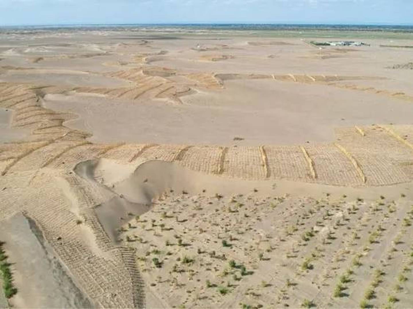 مشروع صيني بيئي يعتمد على الطحالب المقاومة للجفاف لإعادة تشكيل البيئات الطبيعية