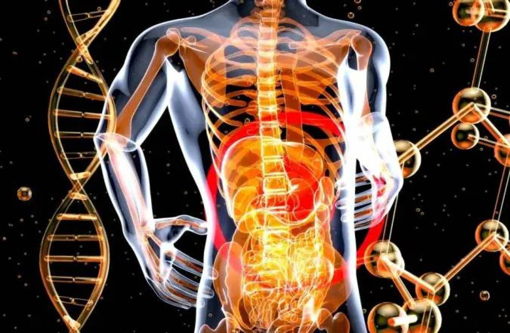 سم بكتيري شائع في الأمعاء قد يرفع خطر سرطان القولون لدى الشباب