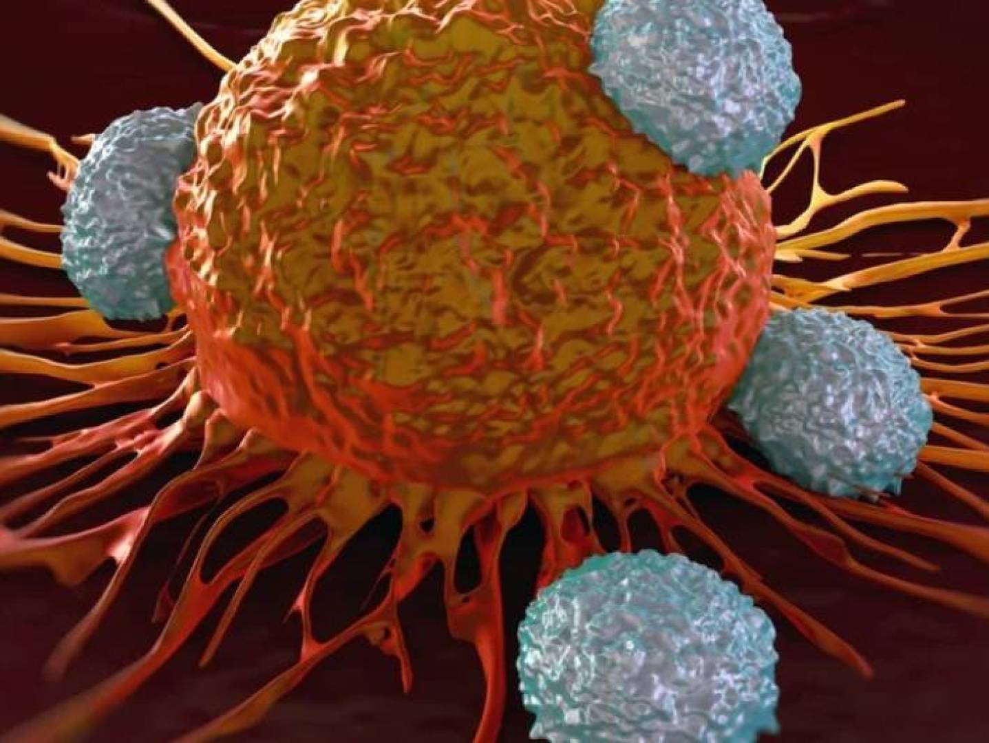 دور ميكروبات الأمعاء في اكتشاف وقتل الخلايا السرطانية