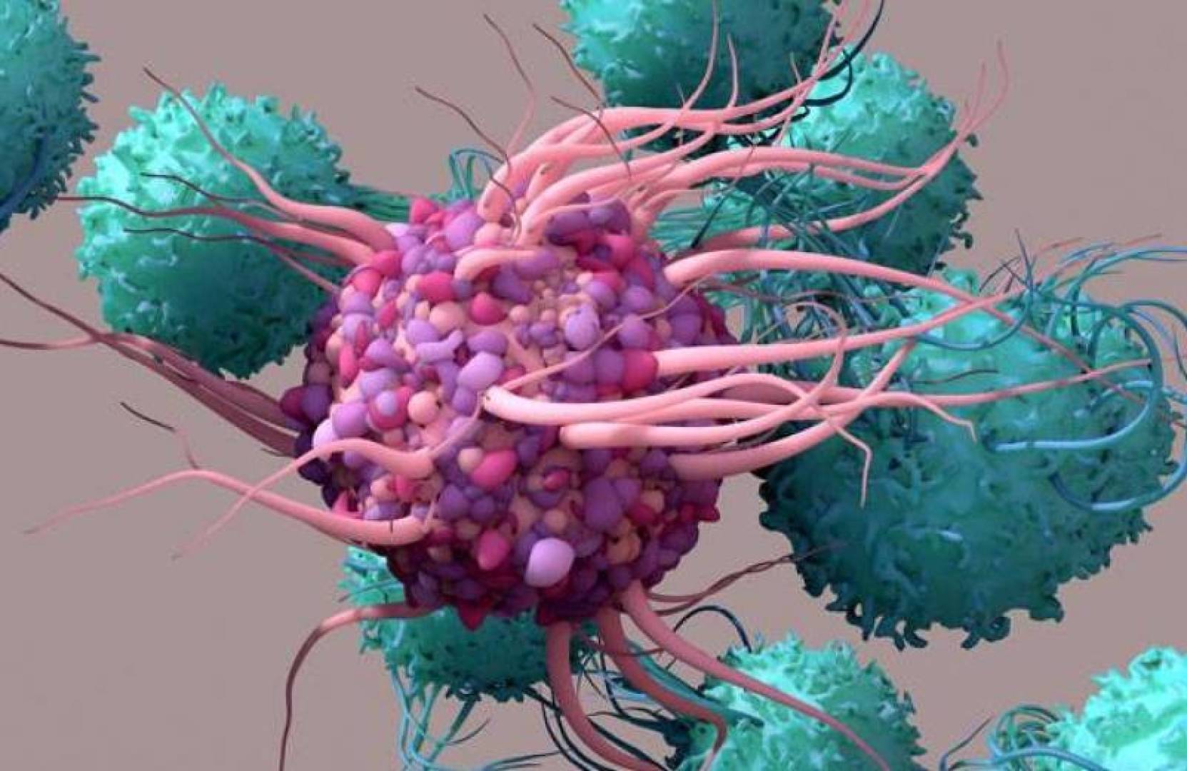 العلاج بالخلايا التائية المُعدَّلة وراثيا يسرع شفاء الأمعاء