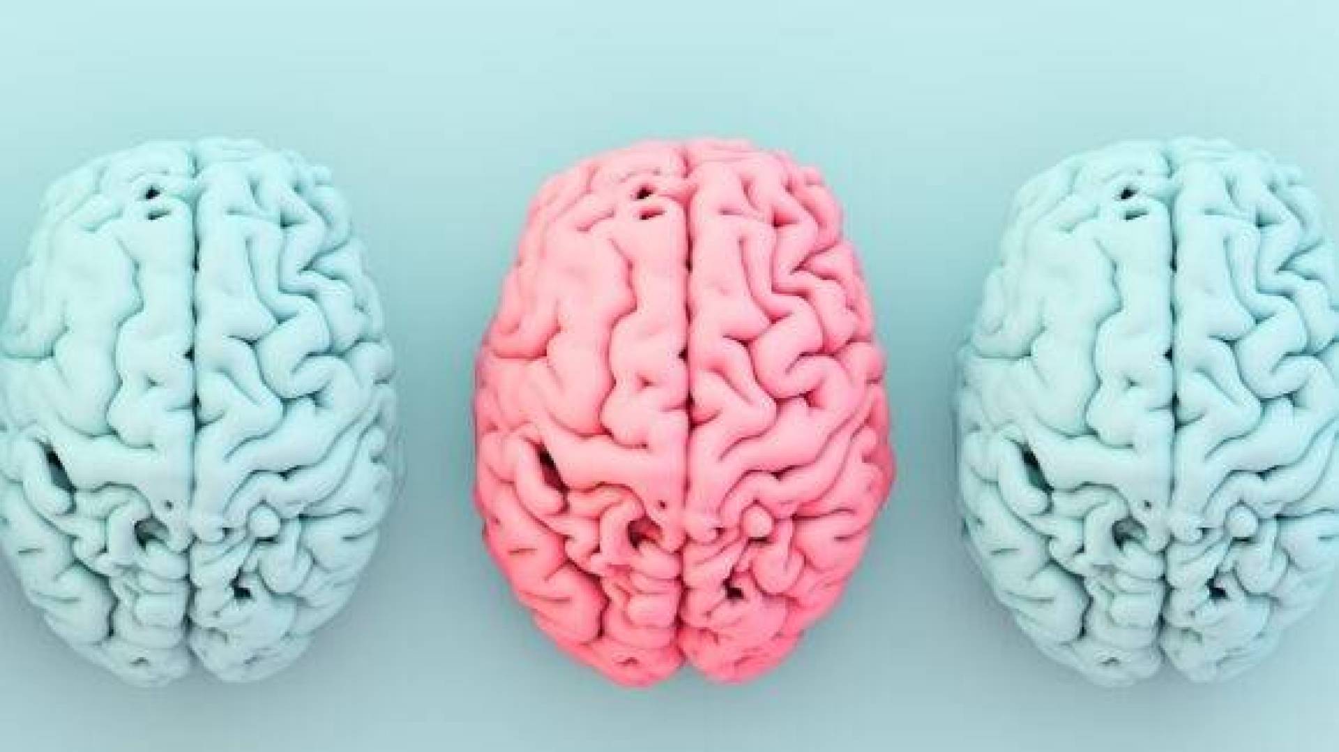 العلاقة بين الكولين والسمنة وصحة الدماغ  وخطر الإصابة بالزهايمر