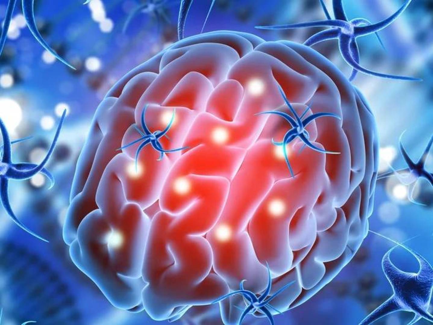 اكتشاف مسار عصبي مرتبط بالسلوك القهري في الدماغ