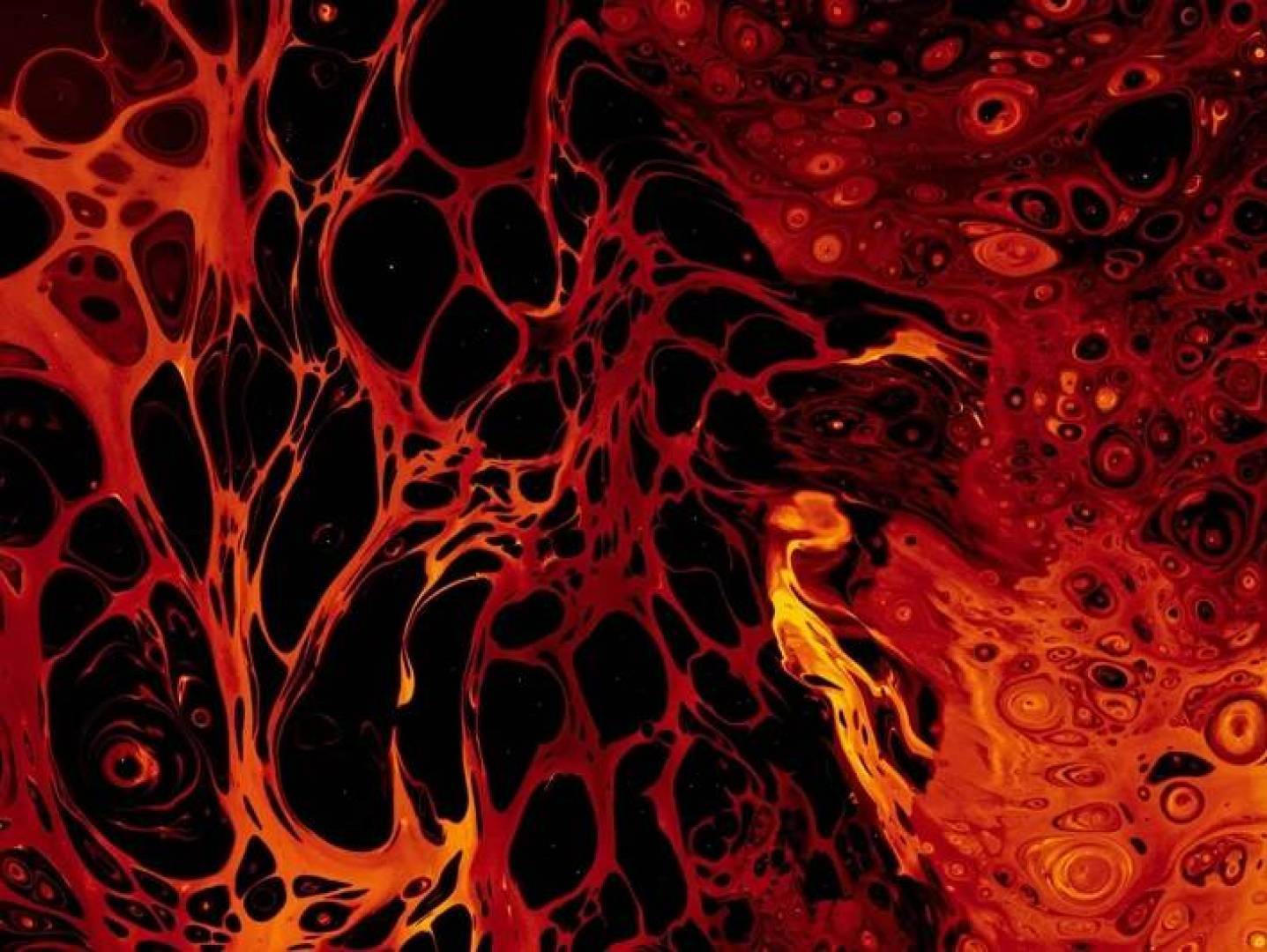 قدرات مذهلة لخلـايا جذعية تستخرج بعد الولادة