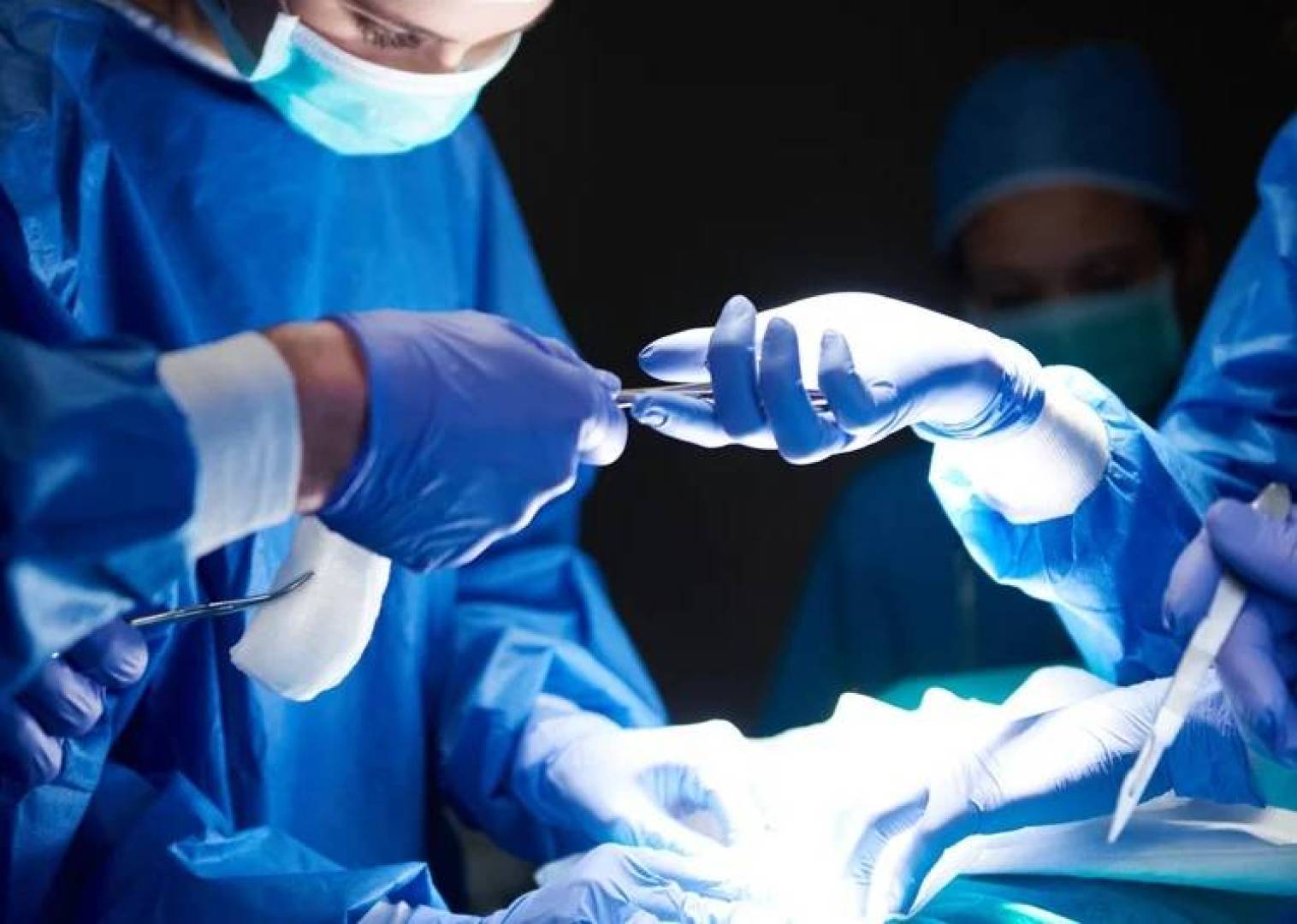 اكتشاف أسباب رفض الكلى الخنزيرية عند الإنسان وإمكانية عكسها بنجاح