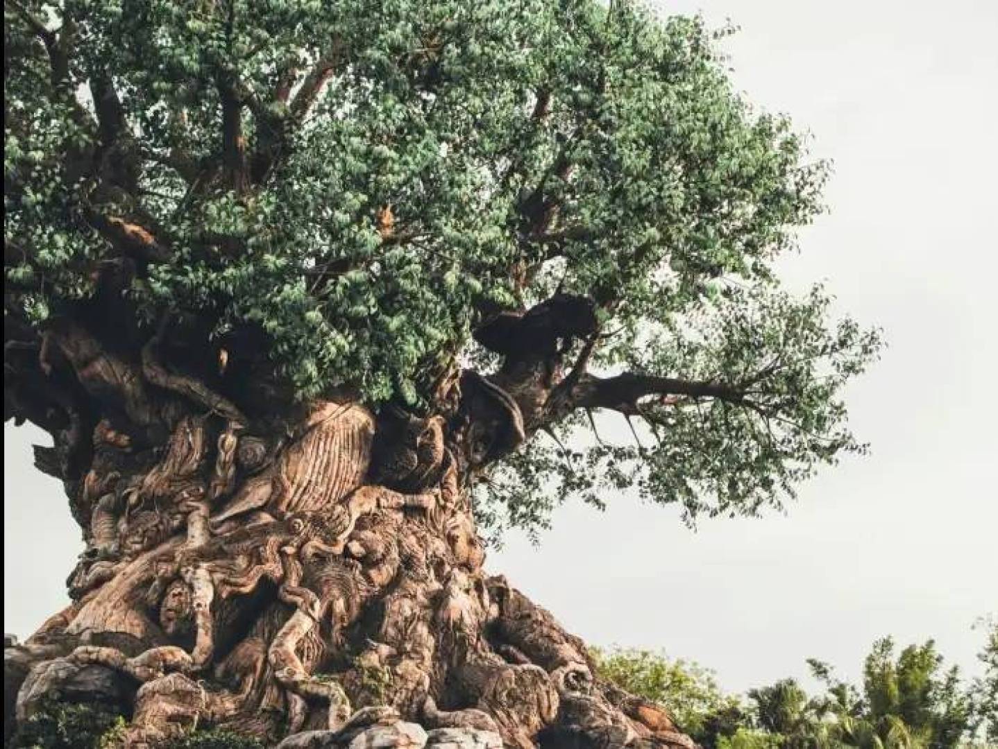 ذكاء اصطناعي يتعلم من شجرة الحياة لدعم تشخيص الأمراض النادرة