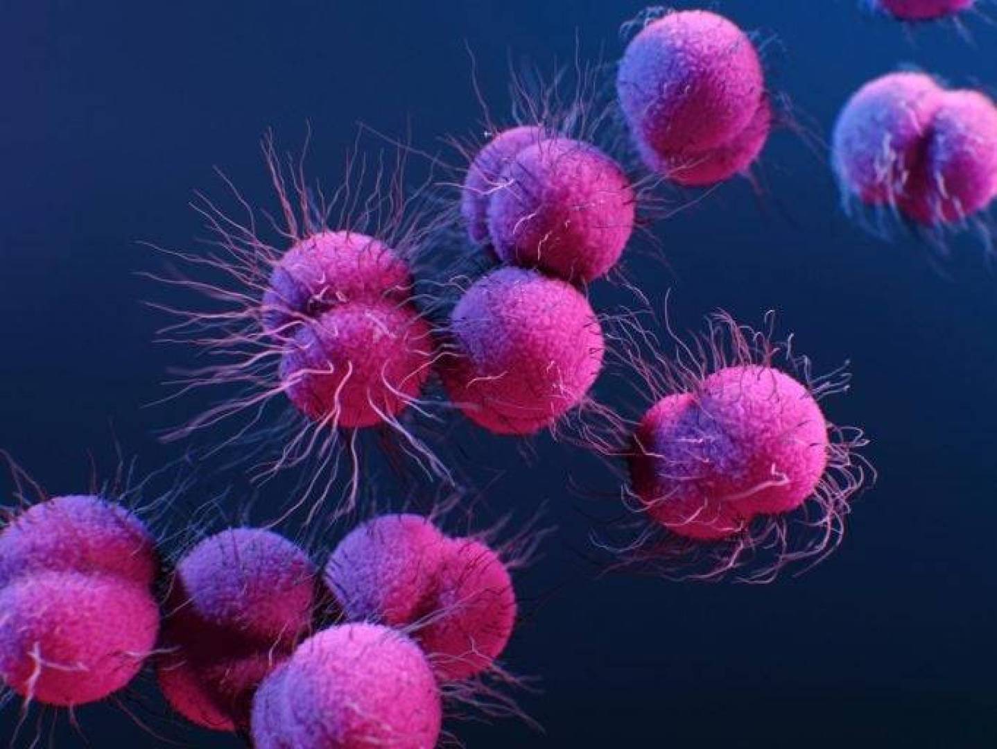 دواء فموي بسيط بدل الحقن لعلاج السيلان