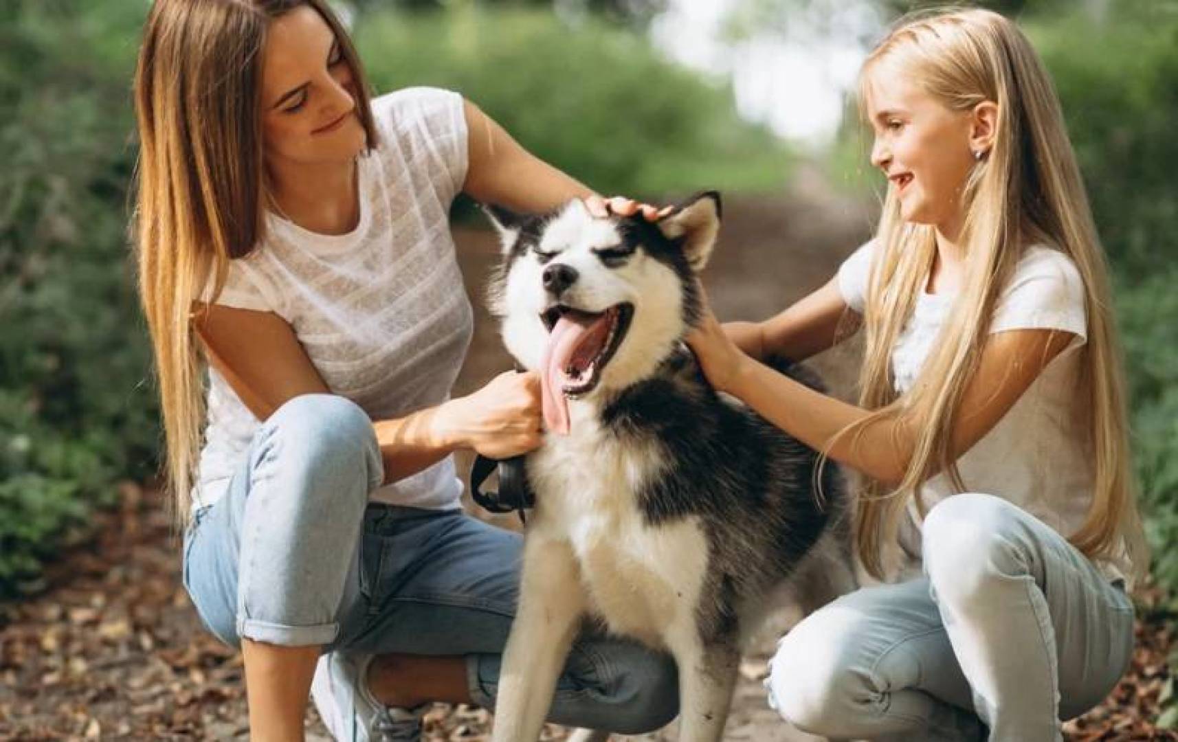 وجود كلب في المنزل يعزز صحة المراهقين النفسية