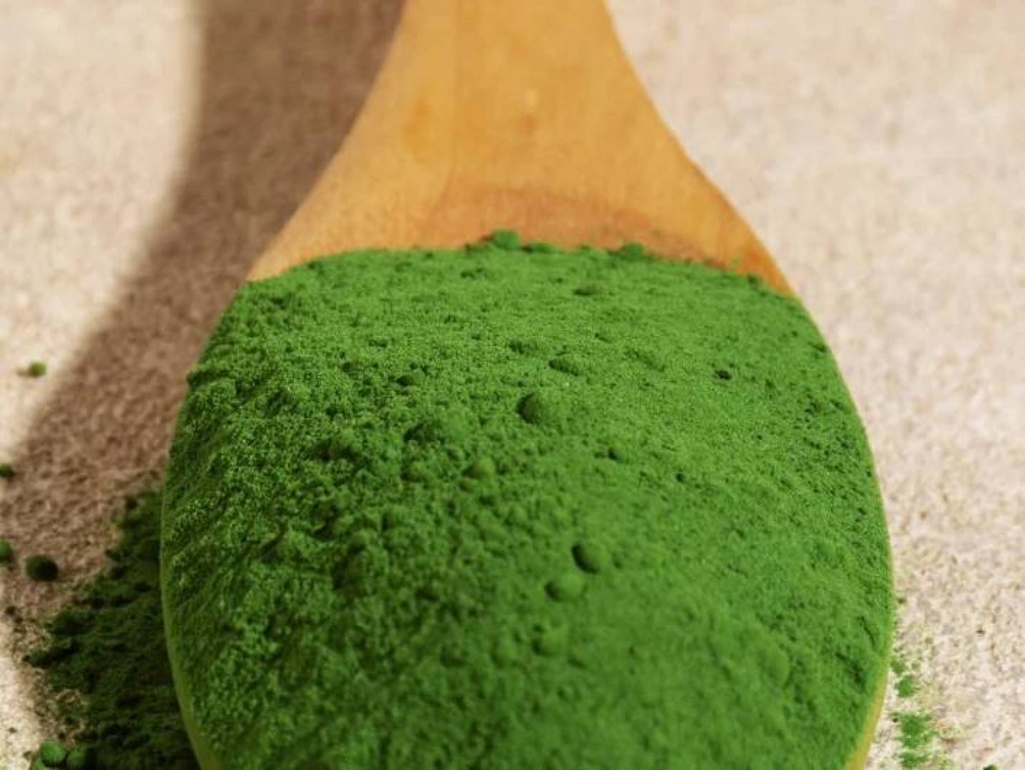 ابتكار مستحضرات تجميل من الطحالب ضمن مشروع وطني روسي علمي