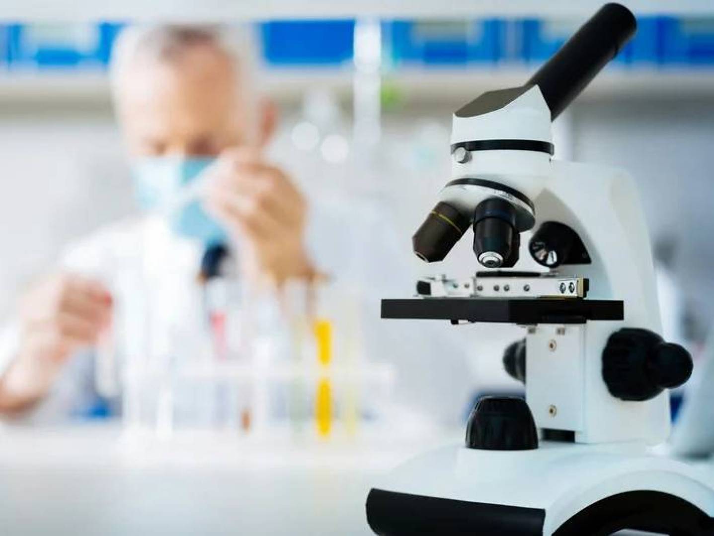 مرونة نواة الخلية تتحكم في استجابة السرطان للأدوية