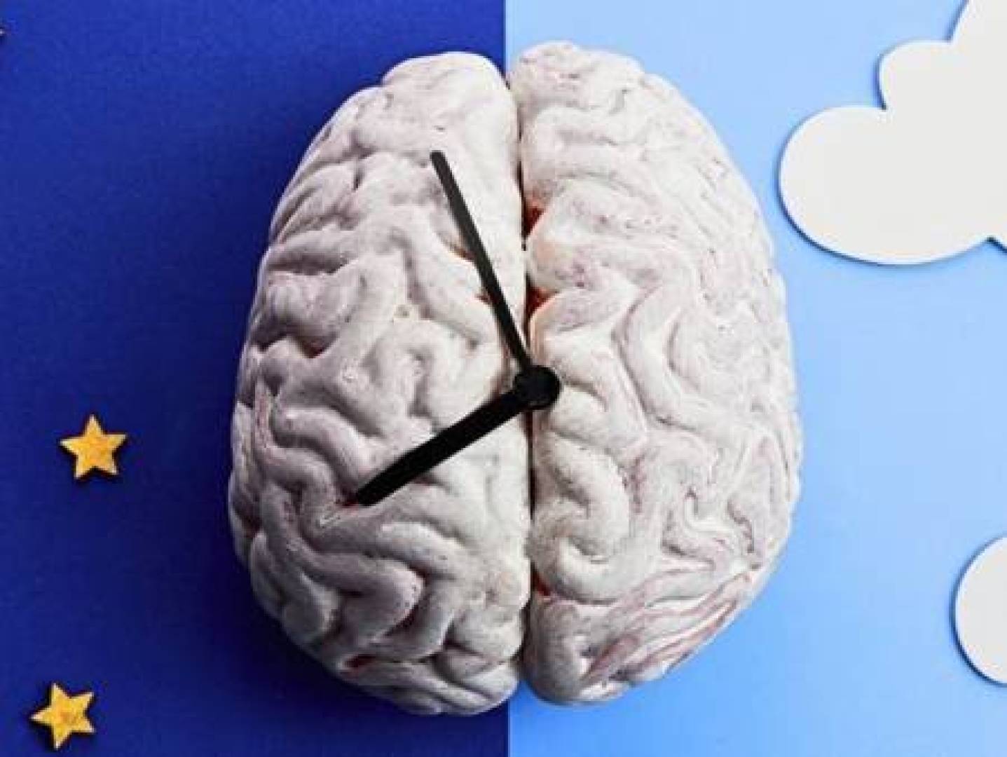 العلم يشرح آلية عمل الساعة البيولوجية وسبب الاستيقاظ قبل رنين المنبّه