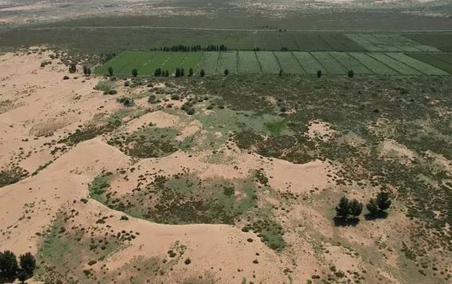 سور الصين الأخضر العظيم,, غابة عملاقة لمواجهة تمدّد الصحراء