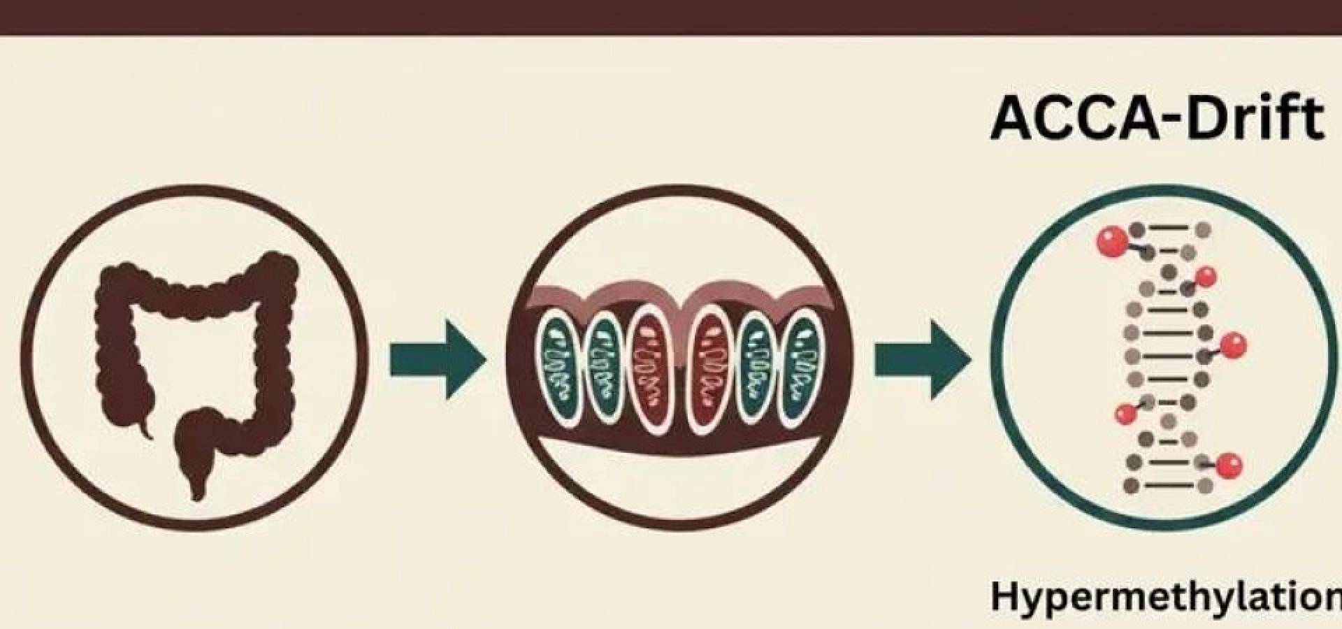 الكشف عن سبب تراجع الجينات المهمة مع التقدم في العمر؟
